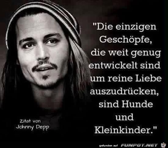 die einzigen geschoepfe die einzigen geschoepfe