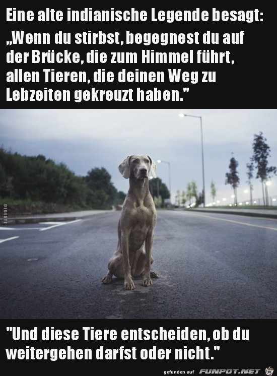 eine alte indianische Legende besagt:........ eine alte indianische Legende besagt:........