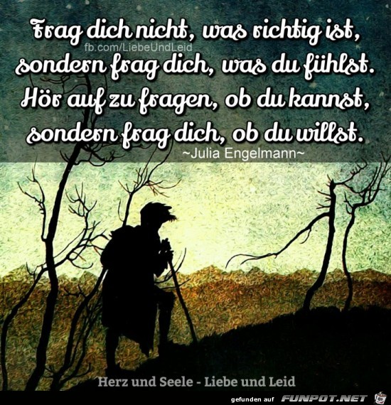 Frag dich nicht, was richtig ist,........