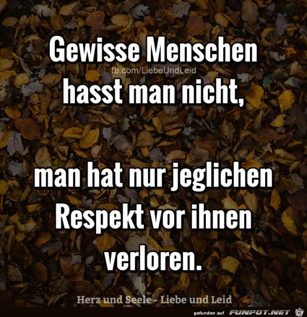 gewisse Menschen hasst man nicht,......