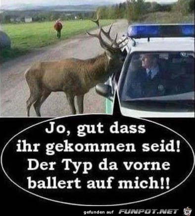 Dieser Typ Dieser Typ