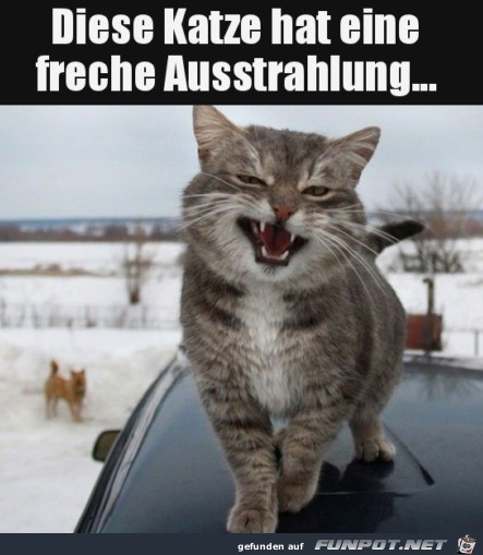 Dieser Blick Dieser Blick