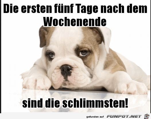 Die ersten fünf Tage Die ersten fünf Tage