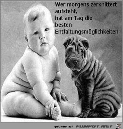 Zerknittert Zerknittert