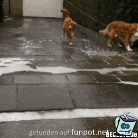 Zu schnell Zu schnell