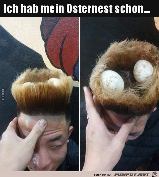 ich hab mein Osternest schon..... ich hab mein Osternest schon.....