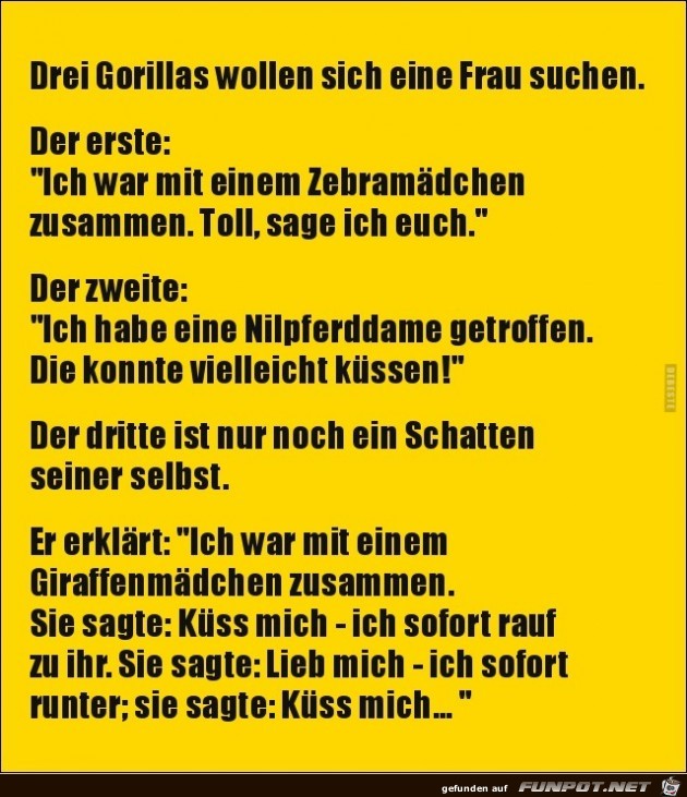 drei Gorillas wollen sich eine Frau suchen,.........