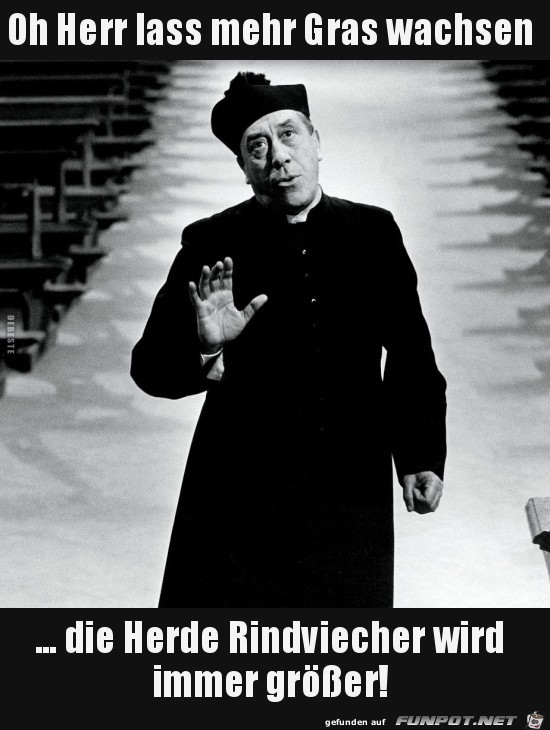 Oh Herr, lass mehr Gras wachsen........ Oh Herr, lass mehr Gras wachsen........