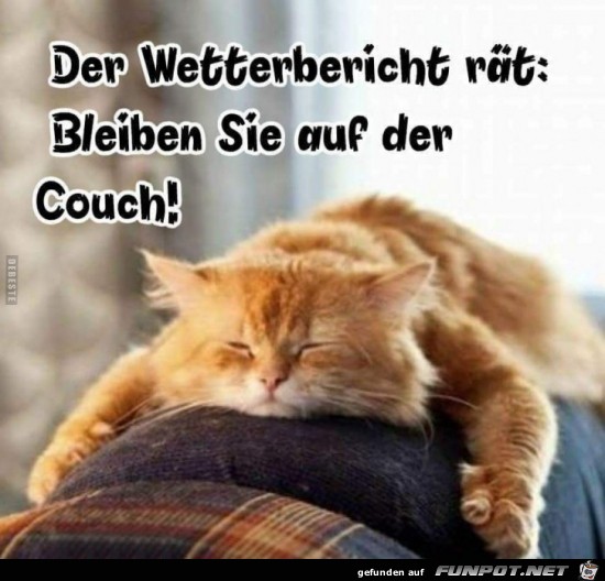 der Wetterbericht rät:....... der Wetterbericht rät:.......