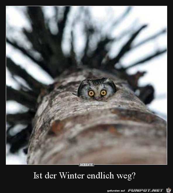 ist der Winter endlich weg?......