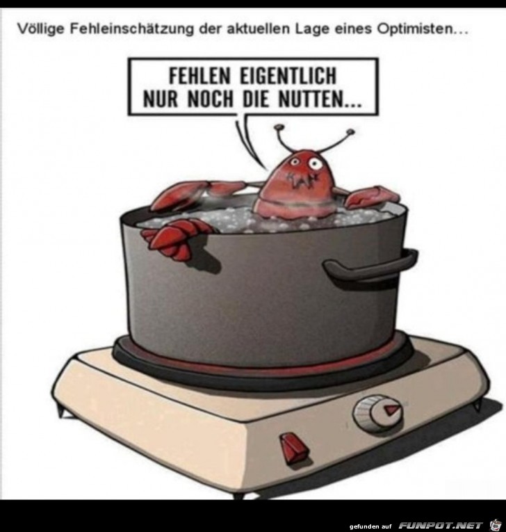 wer fehlt wer fehlt