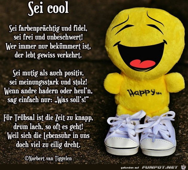 sei cool 2019