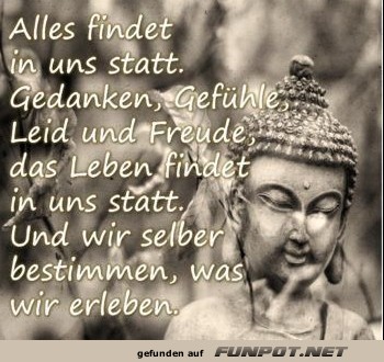 10 sch�ne Spr�che und Lebensweisheiten aus...