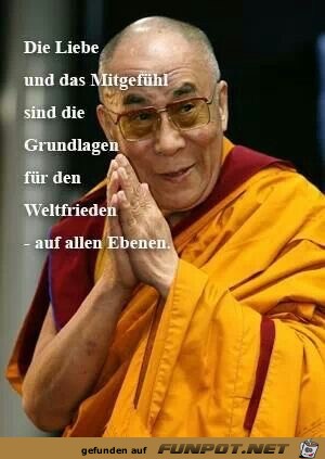 die liebe und das mitgefuehl die liebe und das mitgefuehl