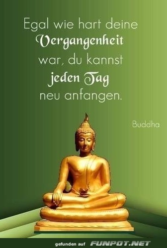 10 sch�ne Spr�che und Lebensweisheiten aus...