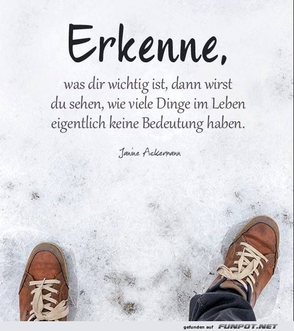 10 sch�ne Spr�che und Lebensweisheiten aus...
