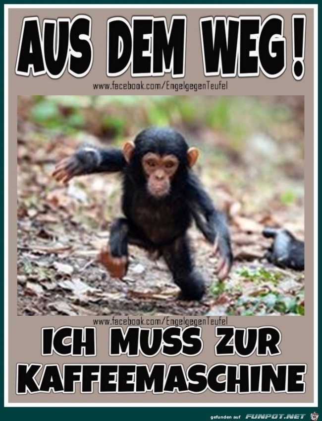 aus dem Weg aus dem Weg
