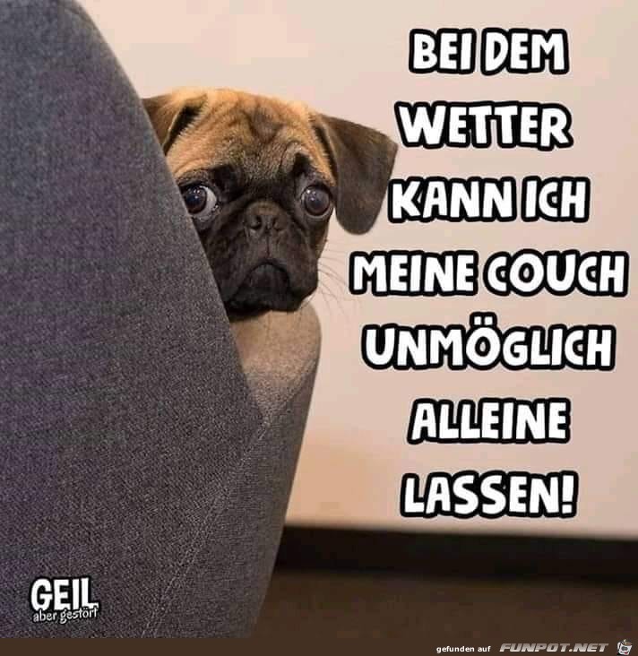 bei dem wetter