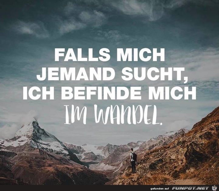 falls mich jemand sucht falls mich jemand sucht
