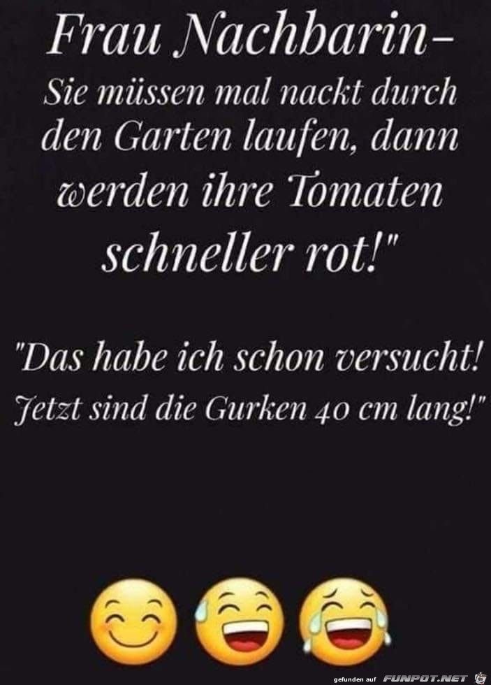 frau nachbarin frau nachbarin