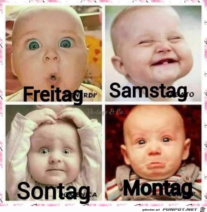 freitag