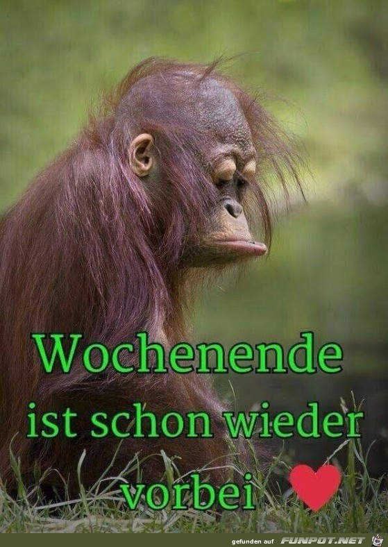 Wochenende ist rum