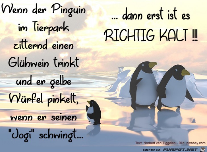 Richtig kalt1 2019 Richtig kalt1 2019