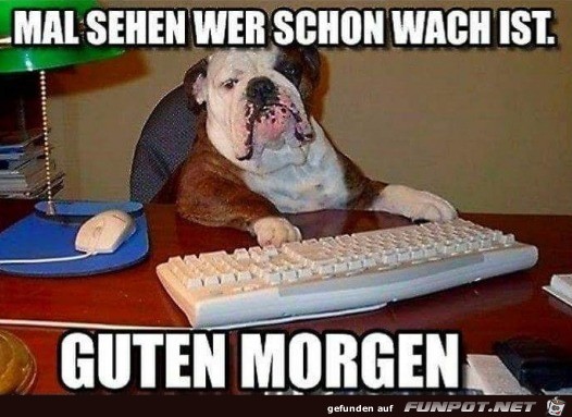 Guten Morgen Guten Morgen