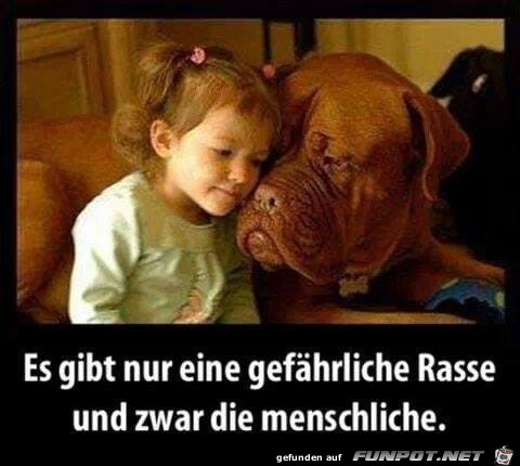 Gefährlich Gefährlich
