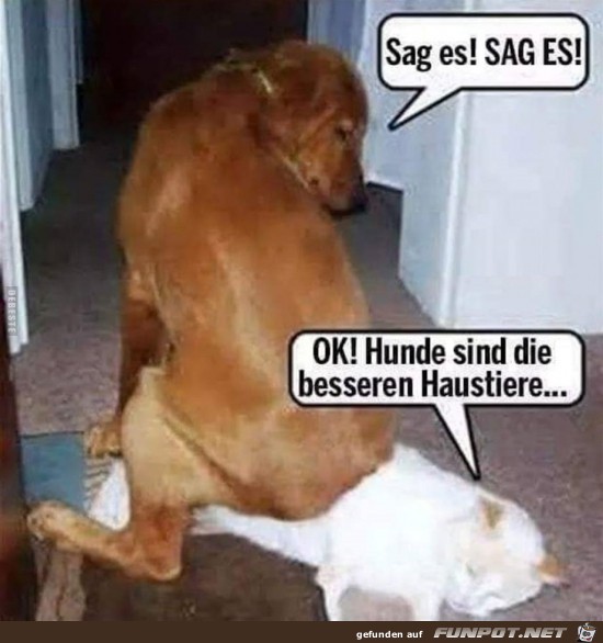 sag es,.. sag es.........