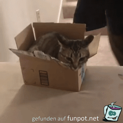 Das ist mein Karton Das ist mein Karton