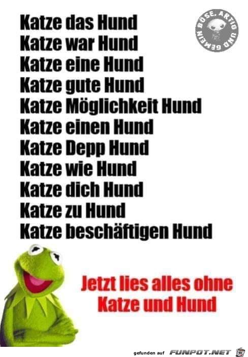 Katze und Hunde Katze und Hunde