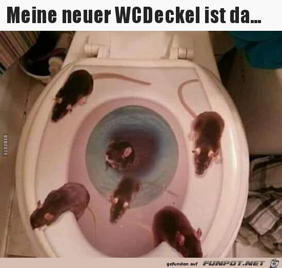 mein neuer WC-Deckel ist da........