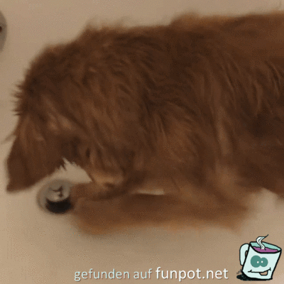Dieser Stöpsel Dieser Stöpsel