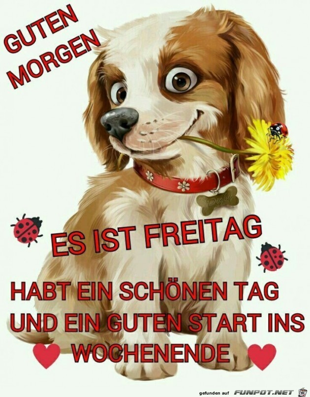 Guten Morgen es ist Freitag