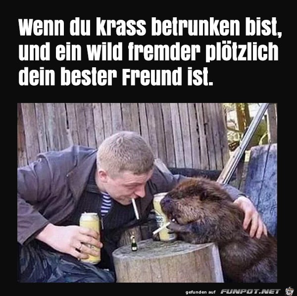 Wenn du krass betrunken bist Wenn du krass betrunken bist
