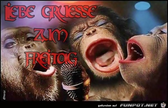 Liebe Gruesse zum Freitag Liebe Gruesse zum Freitag