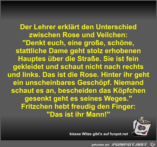 Der Lehrer erklärt den Unterschied zwischen Rose und... Der Lehrer erklärt den Unterschied zwischen Rose und...