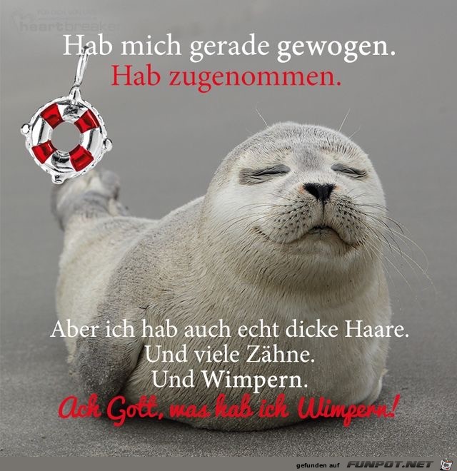 hab mich gerade gewogen hab mich gerade gewogen