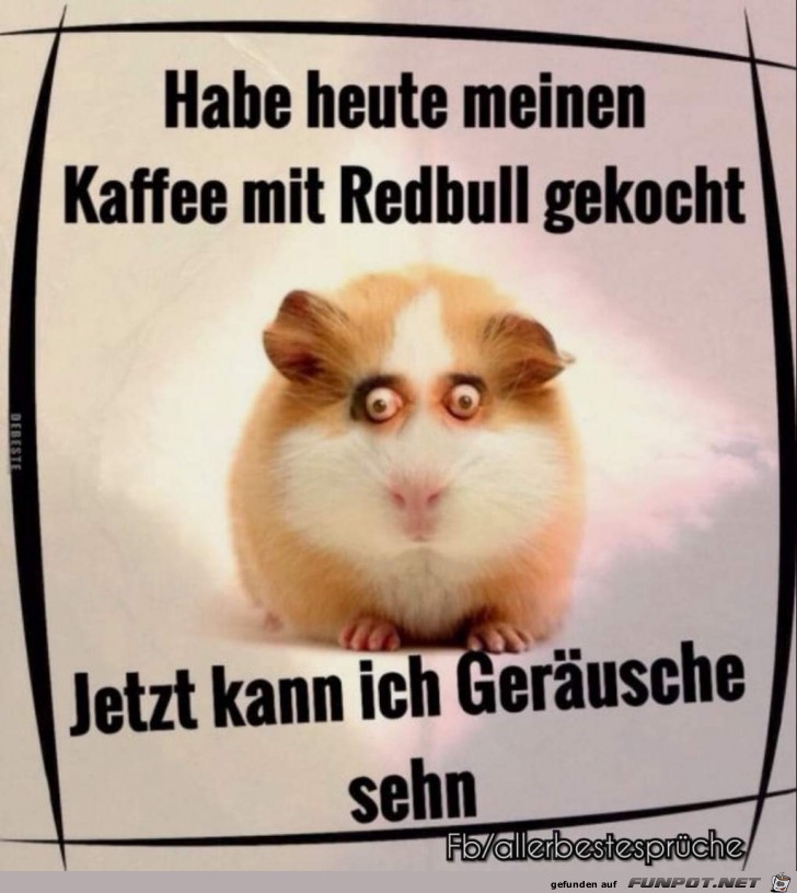 habe heute