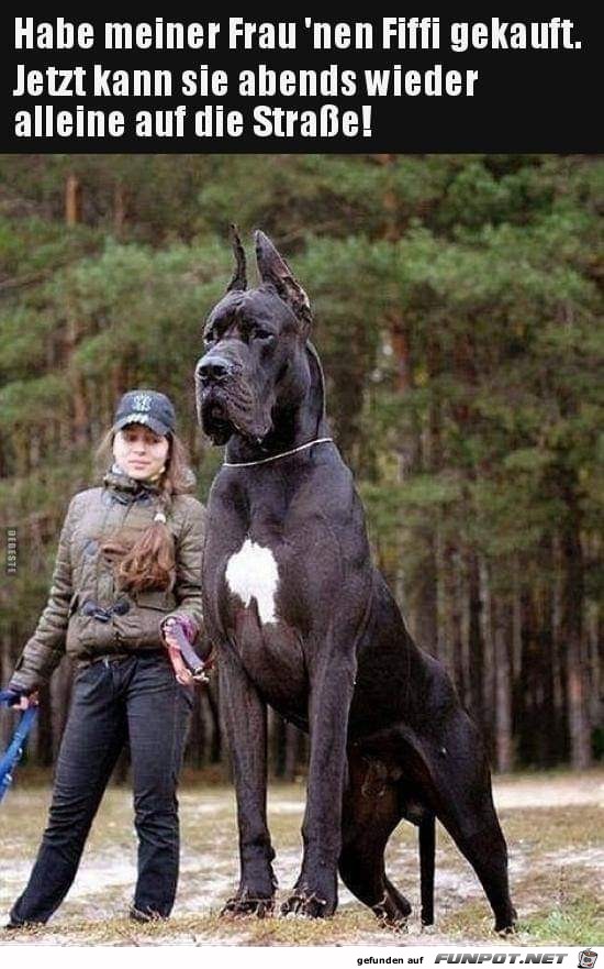 habe meiner Frau habe meiner Frau