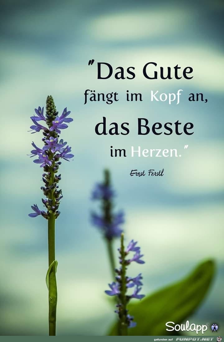 das Gute das Gute