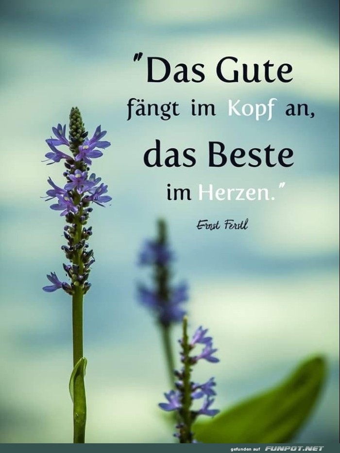 10 sch�ne Spr�che und Lebensweisheiten aus...