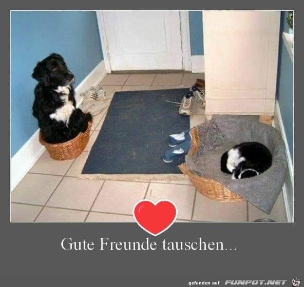 gute Freunde tauschen