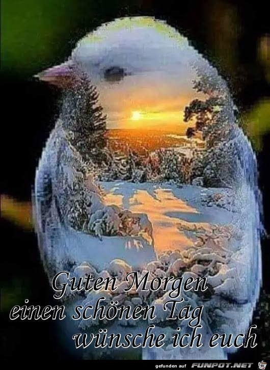 guten morgen guten morgen
