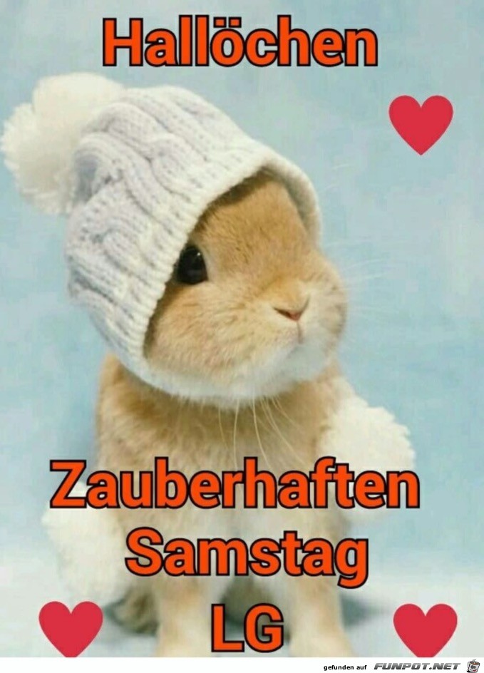 halloechen halloechen