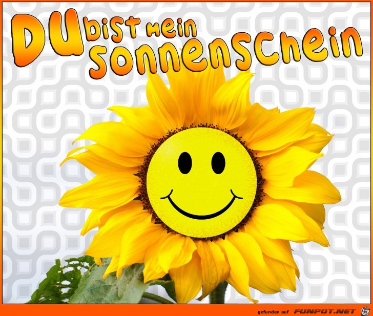 Du bist ein Sonnenschein Du bist ein Sonnenschein
