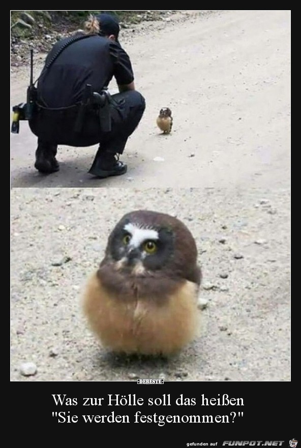 Ist ja drollig Ist ja drollig