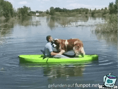 Übergewicht Übergewicht