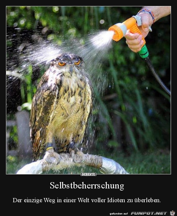 Selbtbeherschung.....